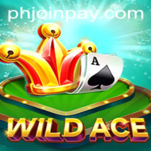 Exploring WildAce: A New Era of Interactive Gameplay